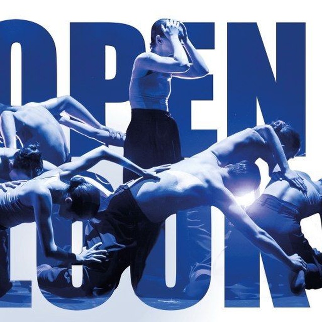 OPEN LOOK FEST