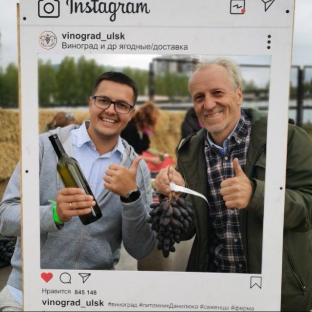 Vinograd73