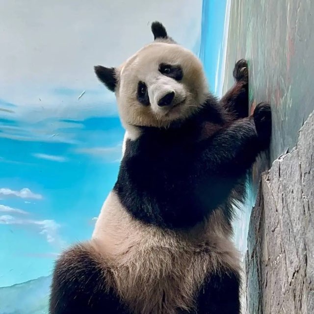 Марина