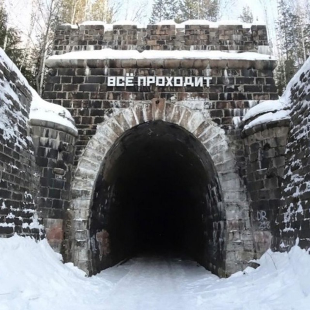 Дидинский лес 🌲