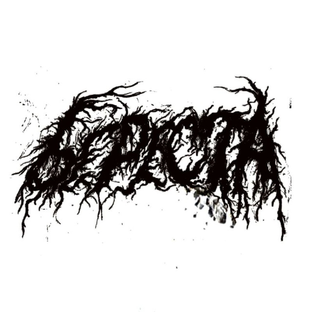 БЕРЕСТА