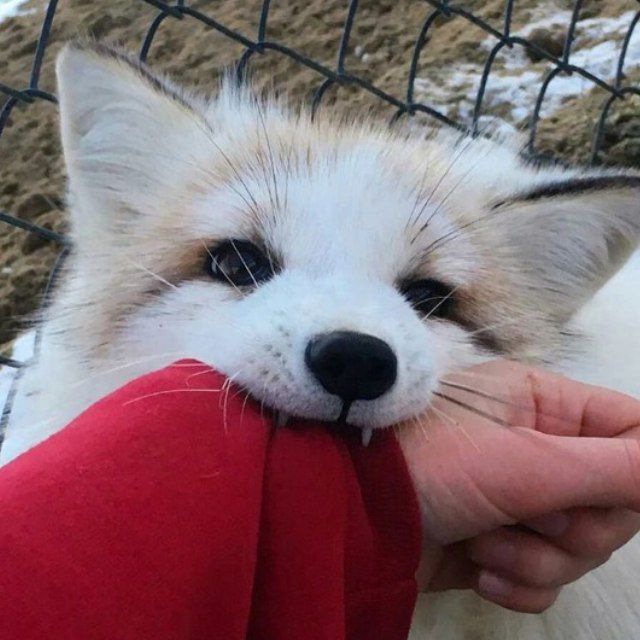 Его