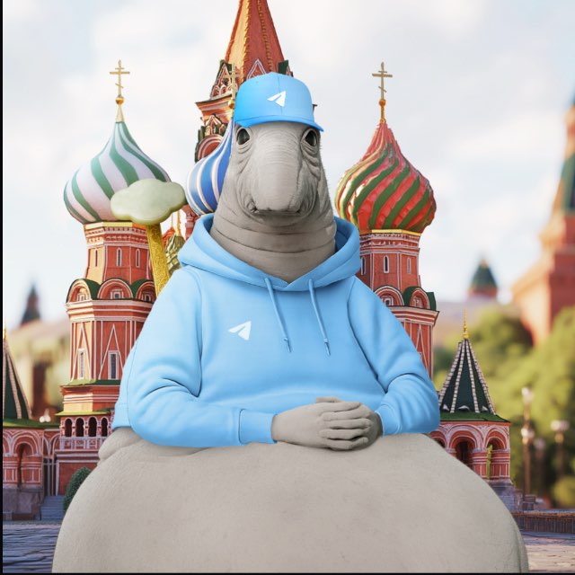 zhdun_nft