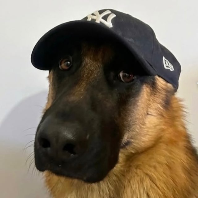 Бизае