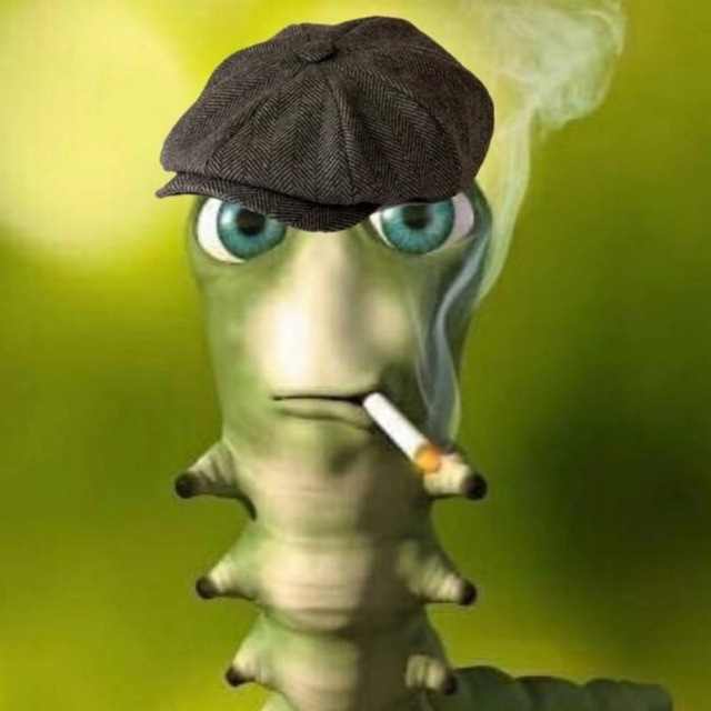 123