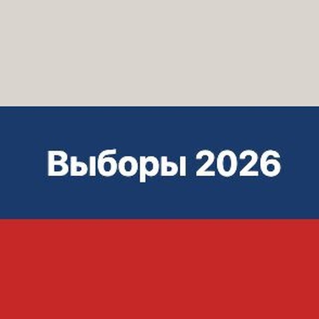 Выборы-2026. Помощь наблюдателю.