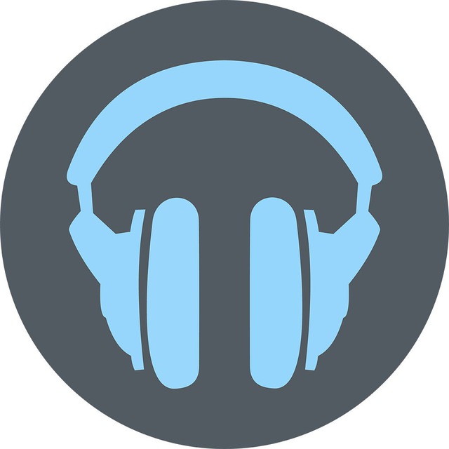 The_stopped_MusicBot