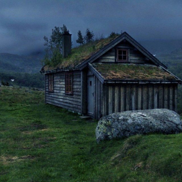 Stjórnandi