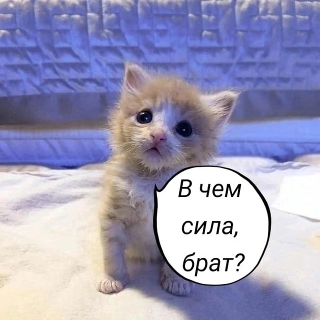 Ы