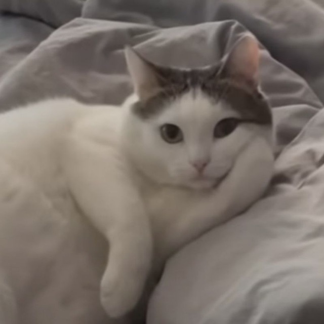 Ева