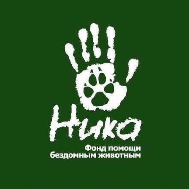 Помощник БФ 