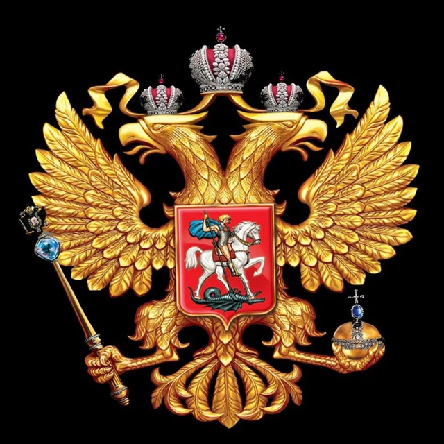 Сводки и Аналитика СВО
