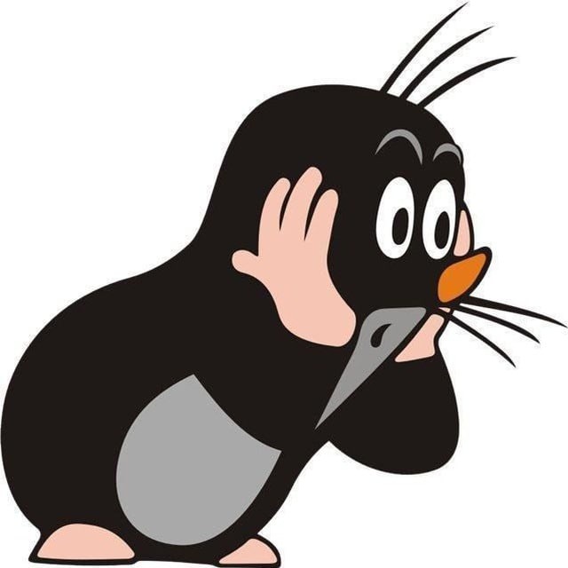 Молдавский Крот