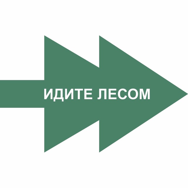 Сбор макулатуры Идите лесом