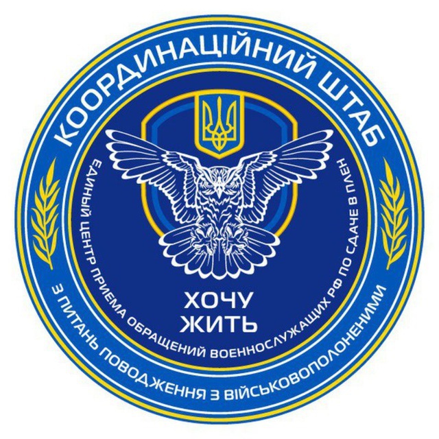 Чат-бот 